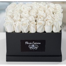 Luxury Box with 25 WHITE roses
